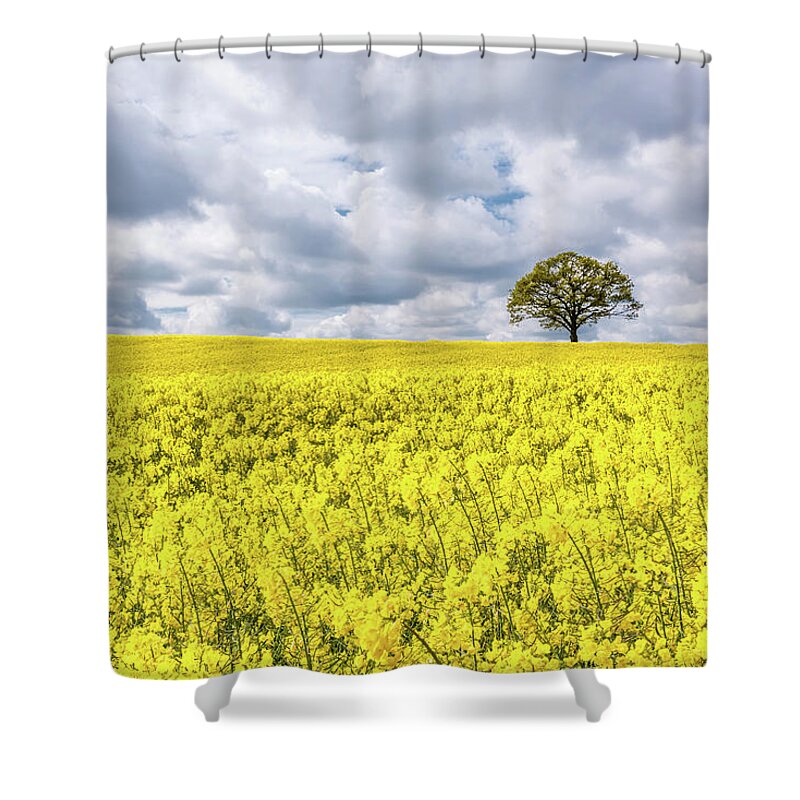 Rape Shower Curtain featuring the photograph Lone Beauty by Nick Bywater