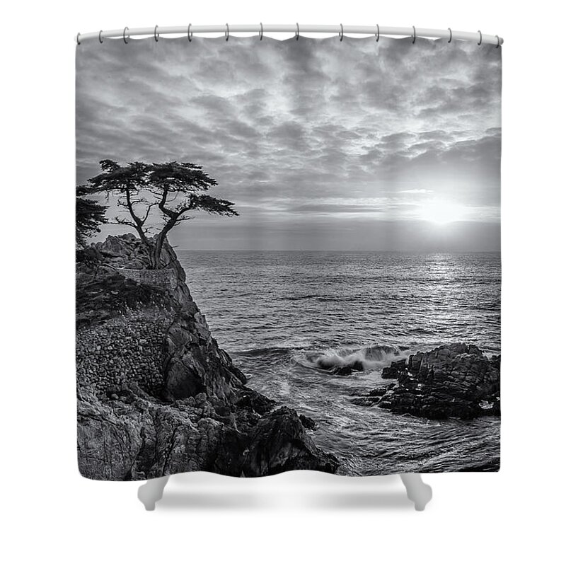 Lone Cypress Shower Curtain featuring the photograph Lone Cypress Classic by Bill Roberts