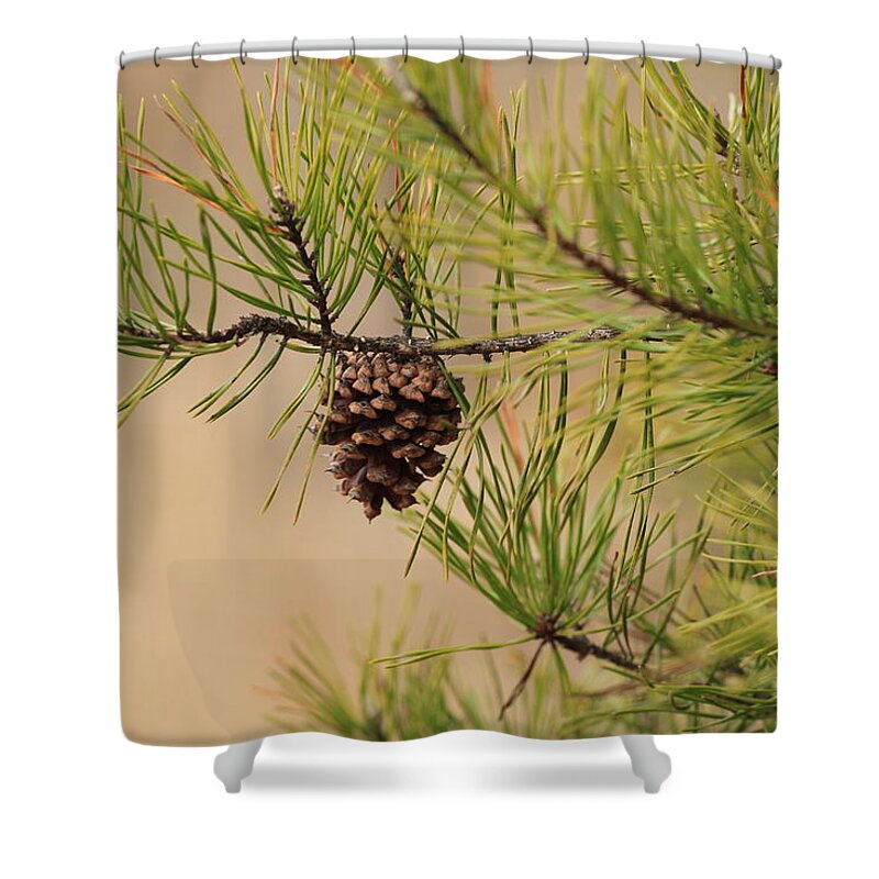 Pine Cone Shower Curtain featuring the photograph Lone Pine Cone by Karen Ruhl