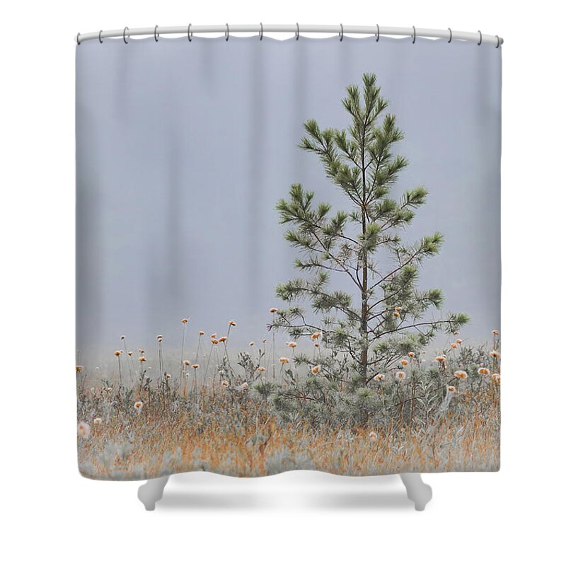 Lowell Lake Shower Curtain featuring the photograph Lone Pine by Vance Bell