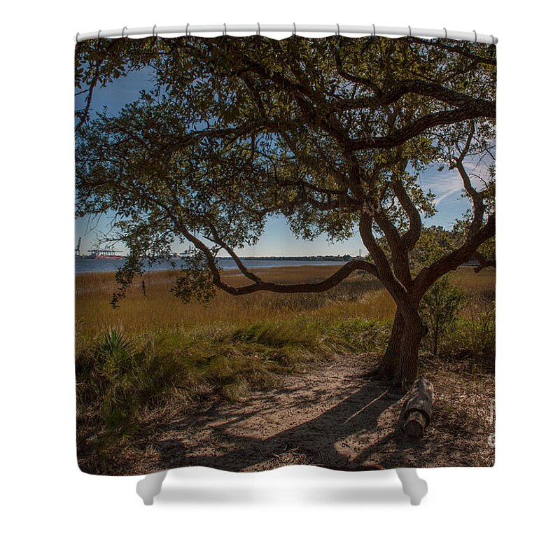 Daniel Island Shower Curtain featuring the photograph Lone Tree by Dale Powell