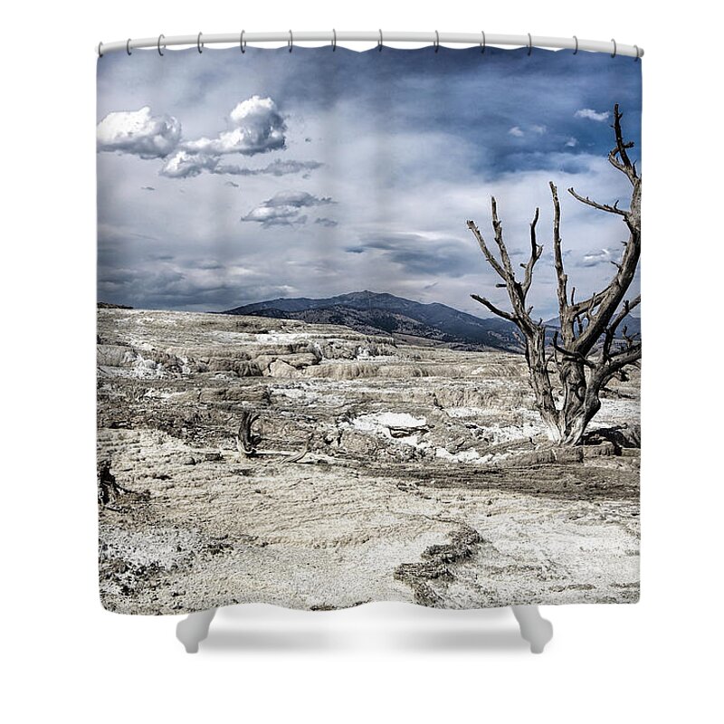 Tree Shower Curtain featuring the photograph Lone Tree by Deborah Penland