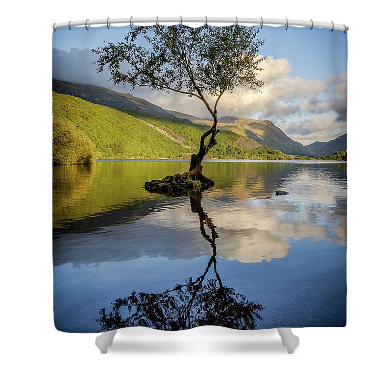 Gwynedd Shower Curtain featuring the photograph Lone Tree, Llyn Padarn by Peter OReilly