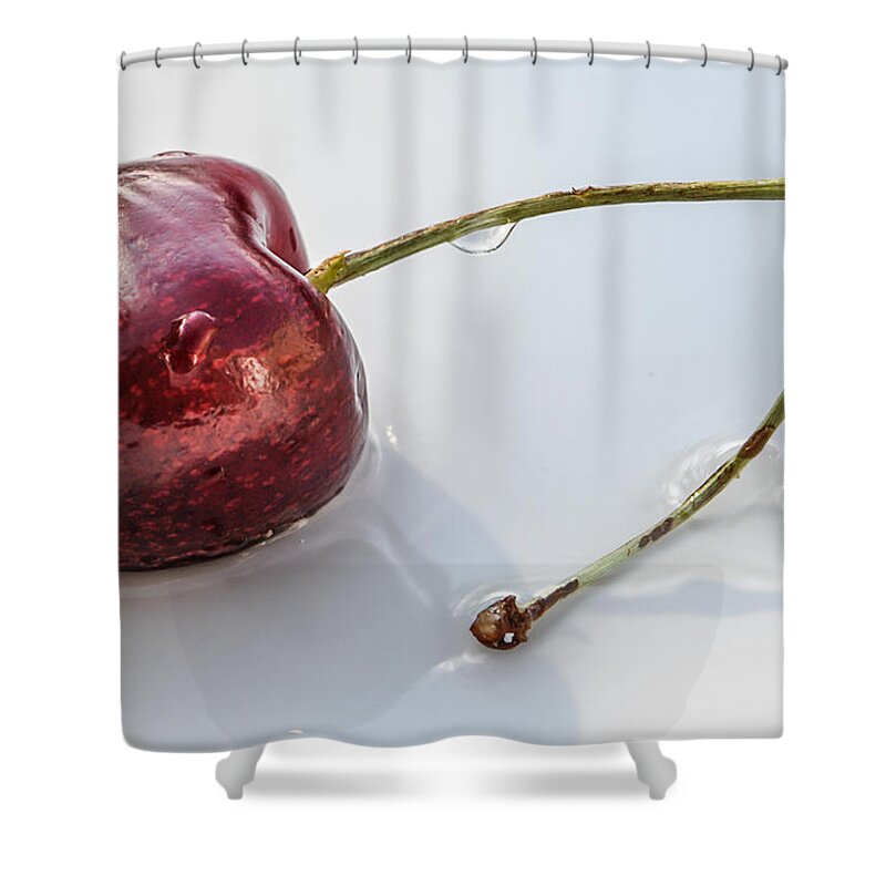 Loneliness Shower Curtain featuring the photograph Loneliness by Maggie Terlecki