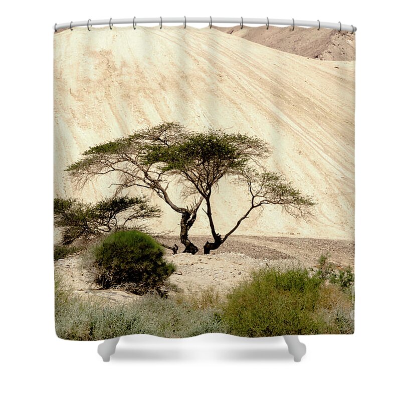 Nature Shower Curtain featuring the photograph Lonely Tree by Arik Baltinester