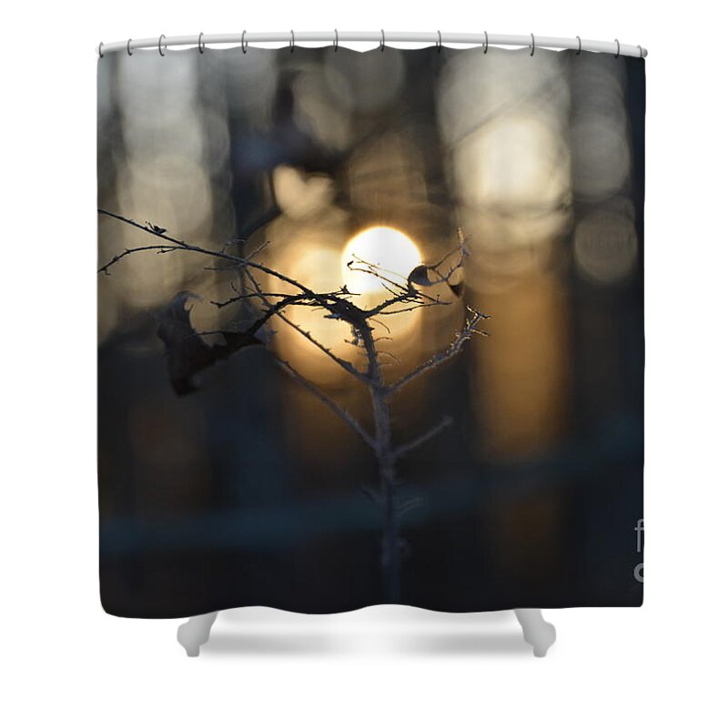 Adrian-deleon Shower Curtain featuring the photograph Lonely Tree Branch With Bokeh Love -Georgia by Adrian De Leon Art and Photography
