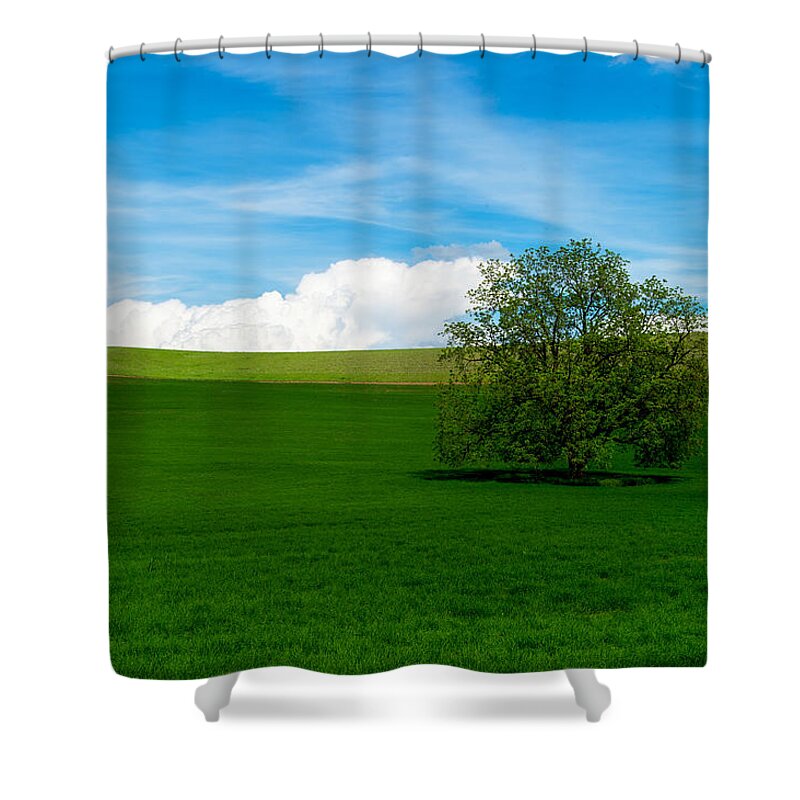 Landscape Shower Curtain featuring the photograph Lonely Tree - Palouse by Hisao Mogi