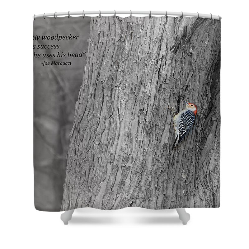 Red-bellied Woodpecker Shower Curtain featuring the photograph Lonely Woodpecker by Holden The Moment