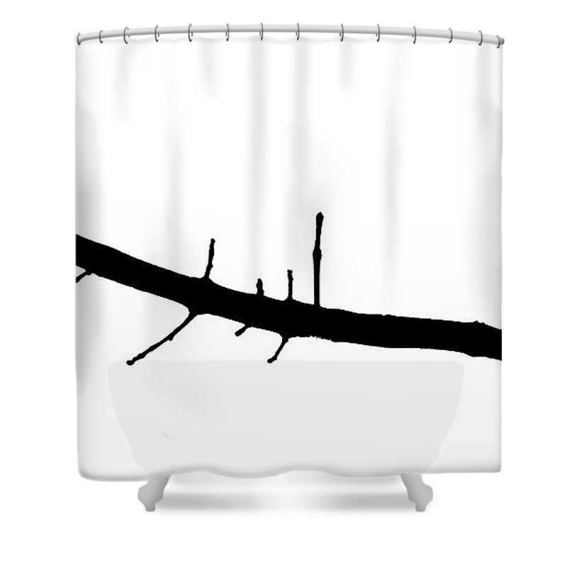 Dove Shower Curtain featuring the photograph Lonesome Dove by John Freidenberg