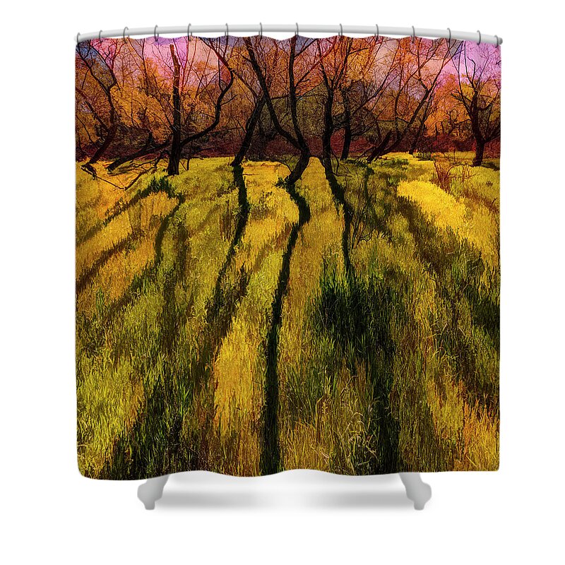 Appalachia Shower Curtain featuring the photograph Long Shadows in Molten Golds by Debra and Dave Vanderlaan