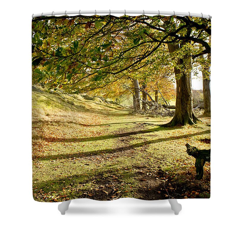 Scotland Shower Curtain featuring the photograph Long shadows of the afternoon by Elena Perelman