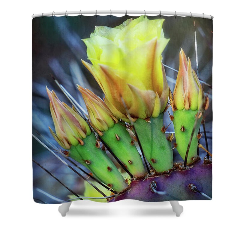 Prickly Pear Cactus Shower Curtain featuring the photograph Long Spined Prickly Pear Cactus by Saija Lehtonen