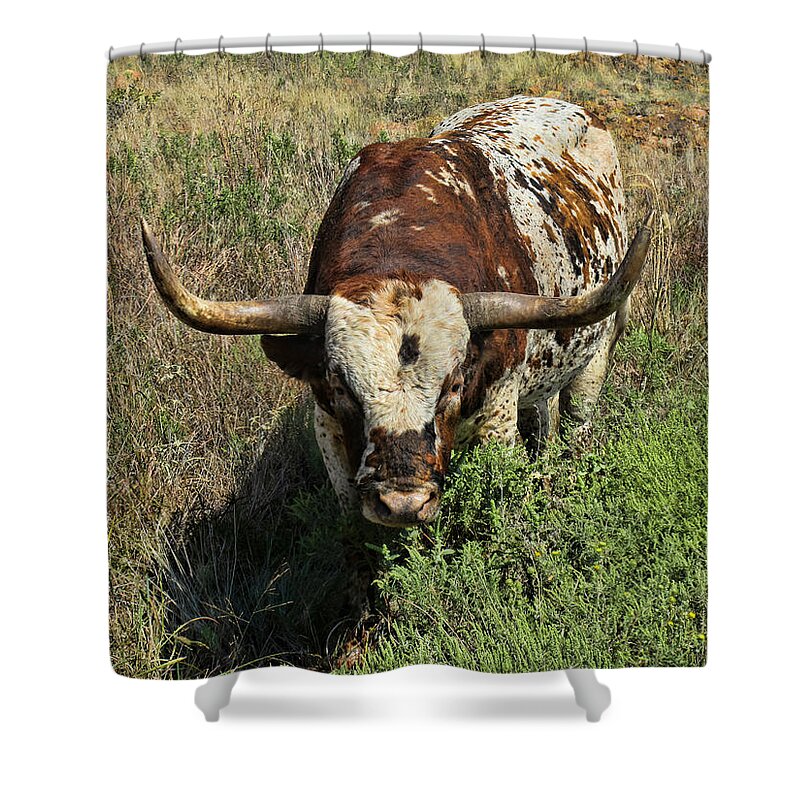 Longhorn Shower Curtain featuring the photograph Longhorn II by Tony Grider