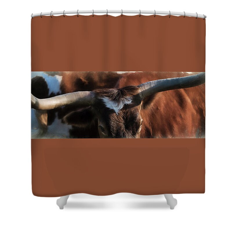 Longhorns Shower Curtain featuring the photograph Longhorn by Pamela Steege