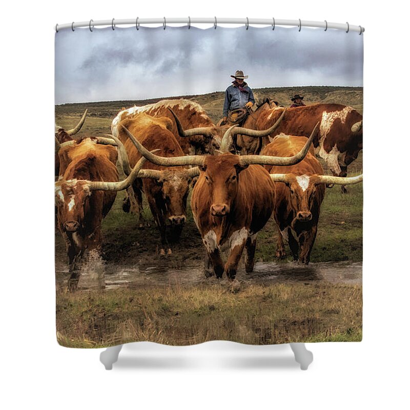Colorado Shower Curtain featuring the photograph Longhorns by Kristal Kraft