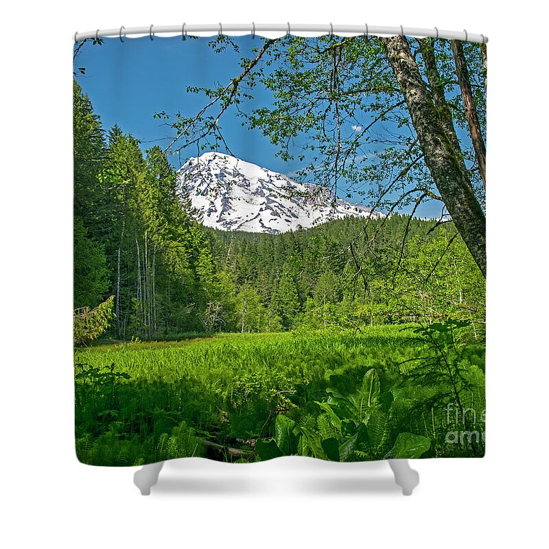  Rustic Shower Curtain featuring the photograph Longmire Meadows 0761 by Chuck Flewelling