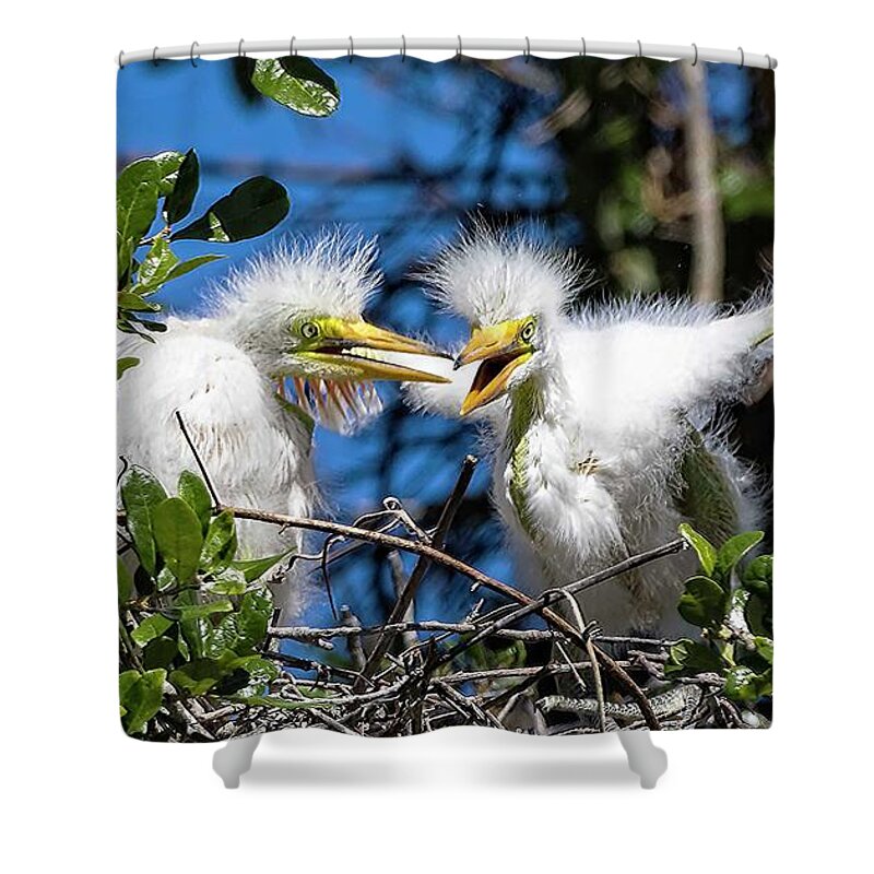 Egrets Shower Curtain featuring the photograph Look - I Have Wings by DB Hayes