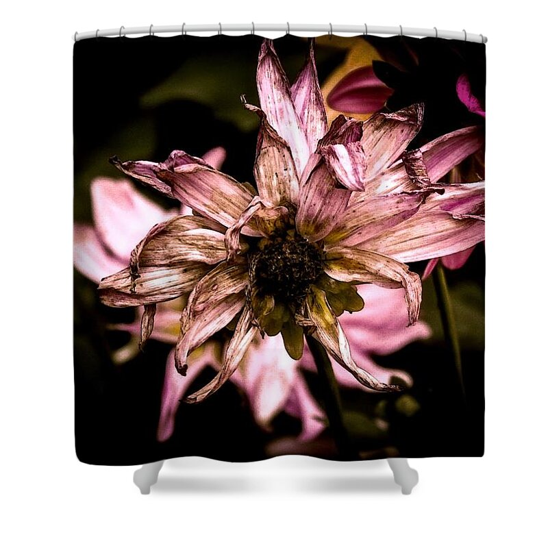 Flower Shower Curtain featuring the photograph Looking around-126 by Emilio Arostegui