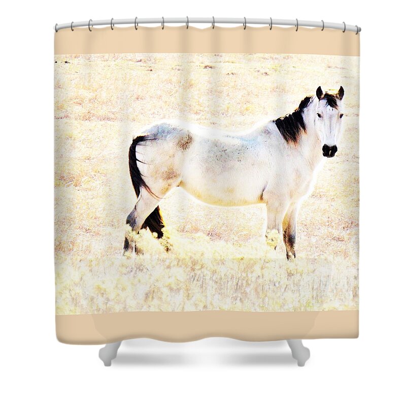 Horse Shower Curtain featuring the photograph Looking Good by Merle Grenz