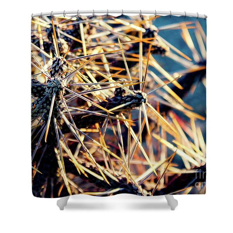 Cactus Shower Curtain featuring the photograph Looking Sharp by Adam Morsa