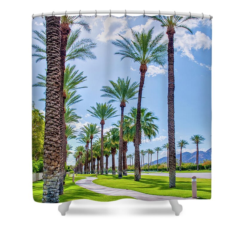 Palm Desert Shower Curtain featuring the photograph Looking Up Palm Trees Vertical by David Zanzinger