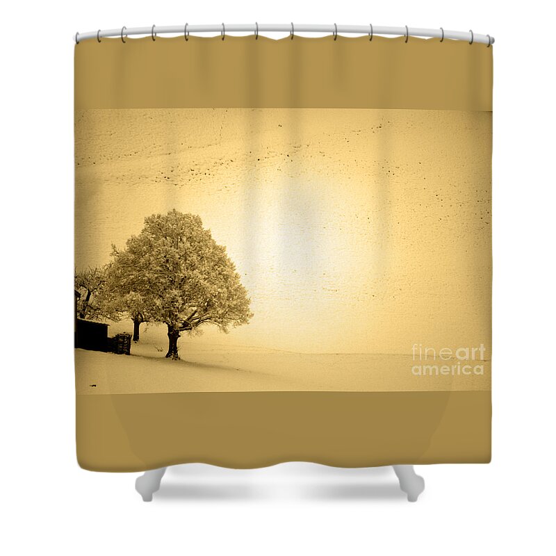 Lost In Snow Shower Curtain featuring the photograph Lost in Snow - Winter in Switzerland by Susanne Van Hulst