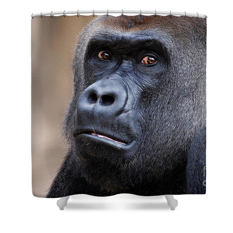 Gorilla Shower Curtain featuring the photograph Lost Soul by Dyle  Warren