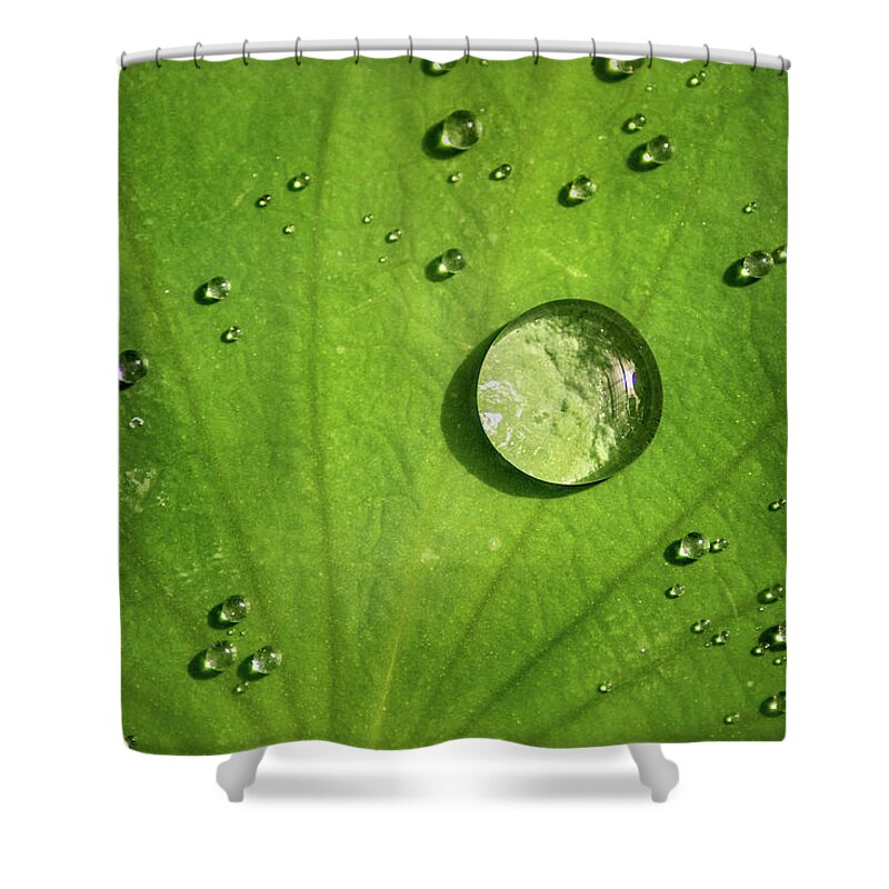 Drops Shower Curtain featuring the photograph Lots of Drops by Don Johnson