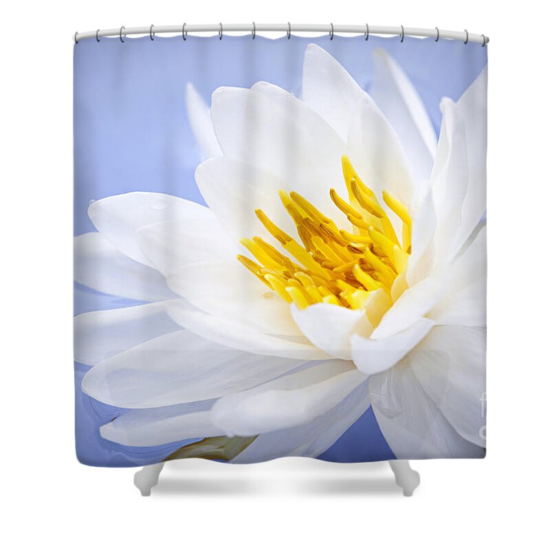 Lotus Shower Curtain featuring the photograph Lotus flower 2 by Elena Elisseeva