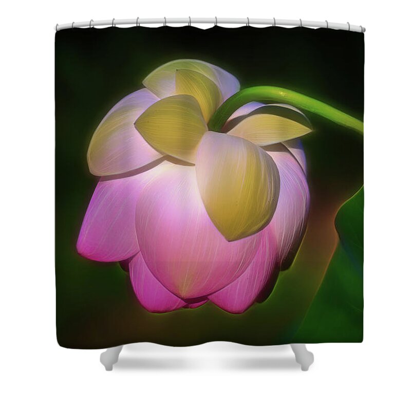 Flora Shower Curtain featuring the photograph Lotus, Upside Down by Cindy Lark Hartman
