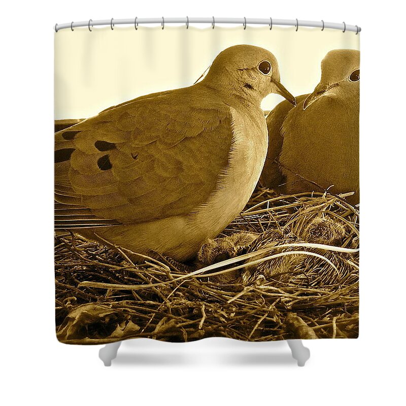 Birds Shower Curtain featuring the photograph Love Birds by Diana Hatcher