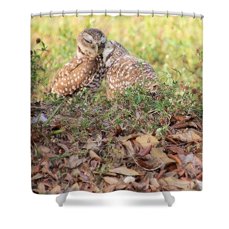 Owl Shower Curtain featuring the photograph Love Birds by Rosalie Scanlon