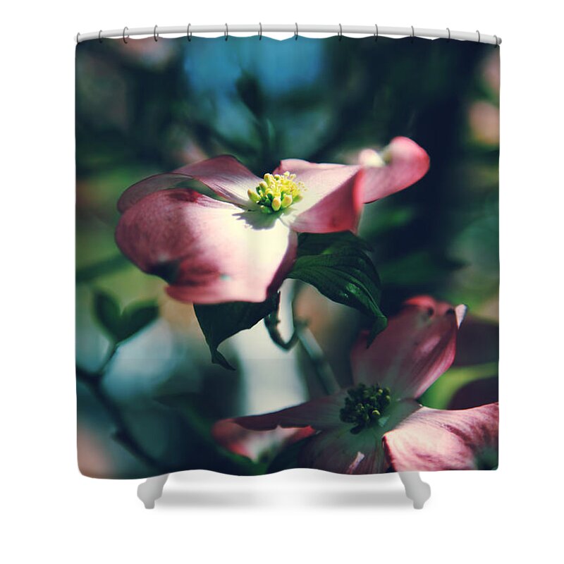 Flowers Shower Curtain featuring the photograph Love Is Such a Beautiful Thing by Laurie Search