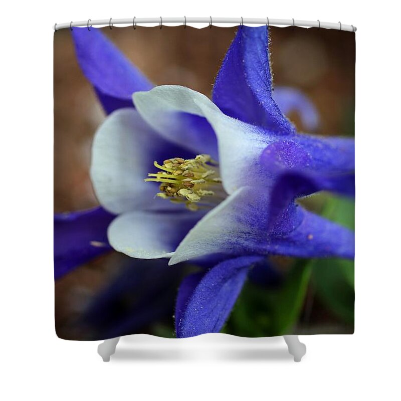 Columbine Shower Curtain featuring the photograph Love Match by Michiale Schneider