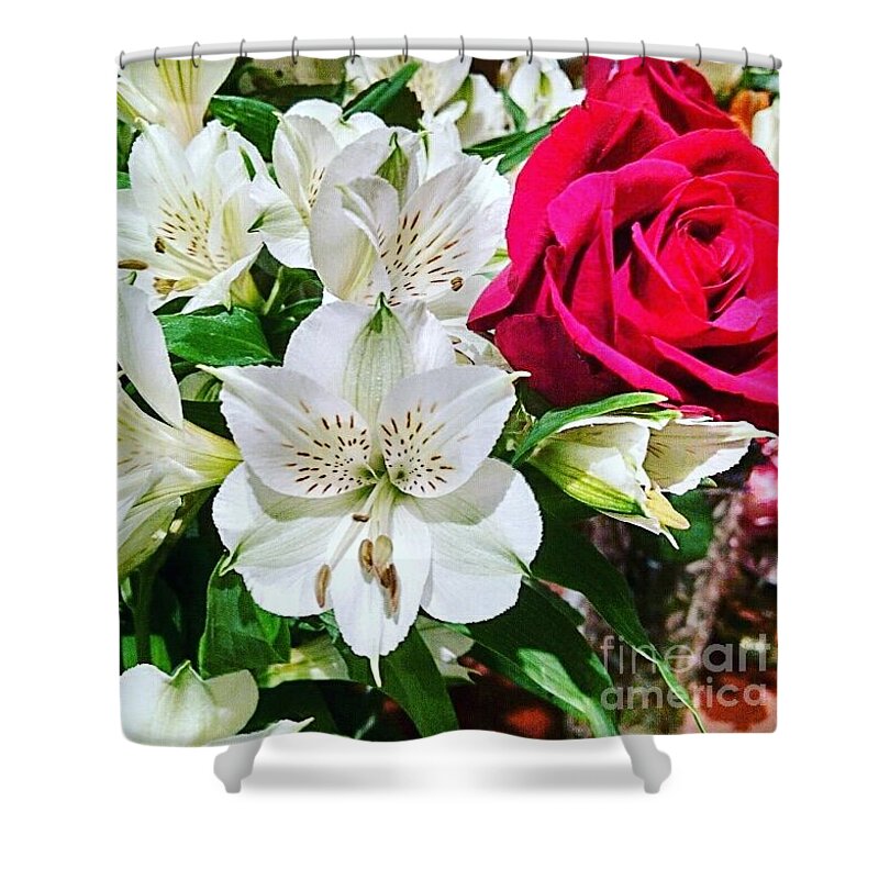 Rose Shower Curtain featuring the photograph Lovely flowers by Steven Wills