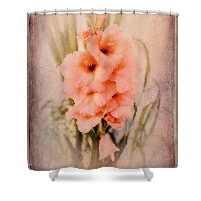 Photograph Shower Curtain featuring the photograph Lovely Gladiolus by MaryLee Parker