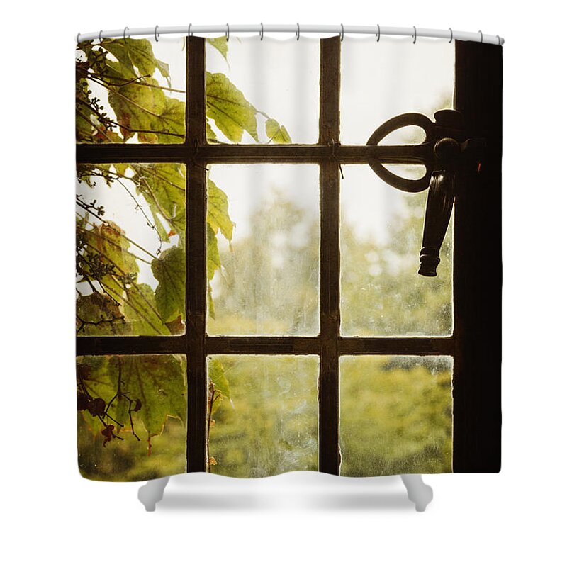 Old Shower Curtain featuring the photograph Lovely by Margie Hurwich
