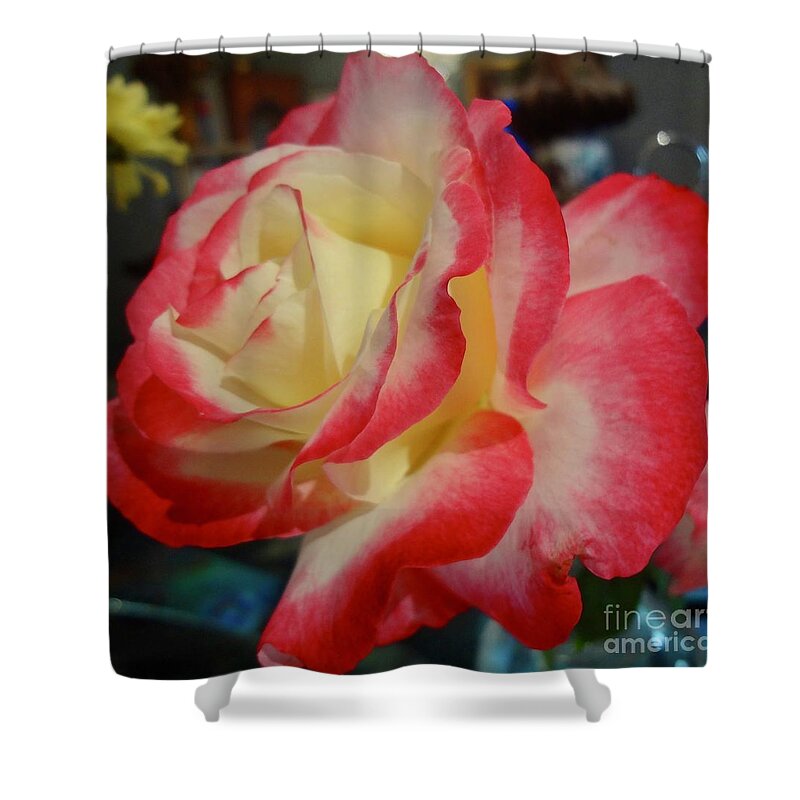 Rose Shower Curtain featuring the painting Lovely Rose by Jenny Lee