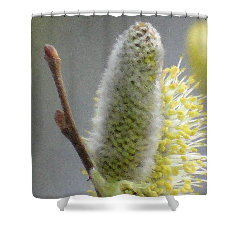 Spring Shower Curtain featuring the photograph Lovely spring by Karin Ravasio