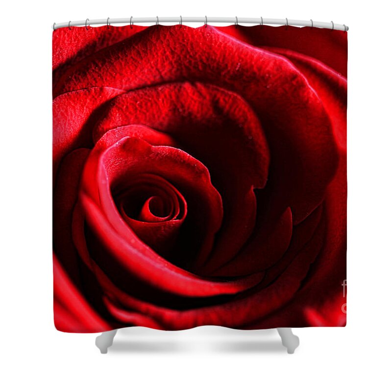 Loving You Shower Curtain featuring the photograph Loving You by Mariola Bitner