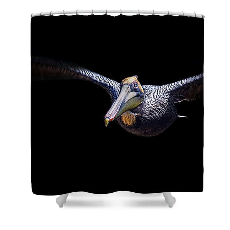 Crystal Yingling Shower Curtain featuring the photograph Low Flight by Ghostwinds Photography