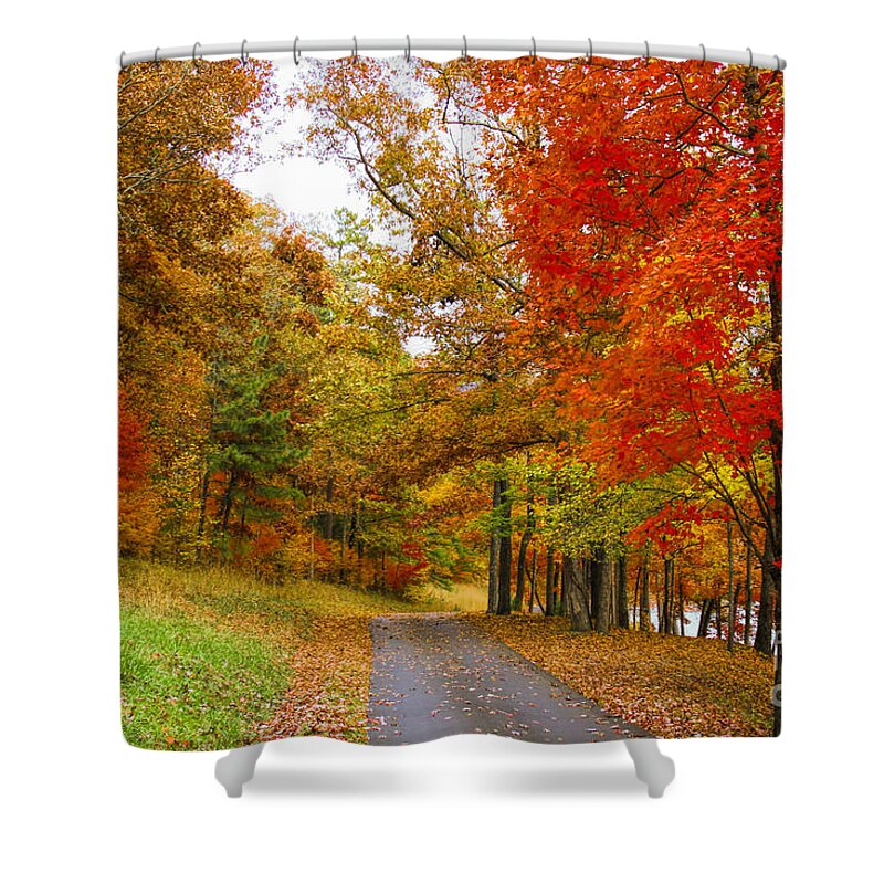 Lower Lake Loop Trail Shower Curtain featuring the photograph Lower Lake Loop Trail by Barbara Bowen