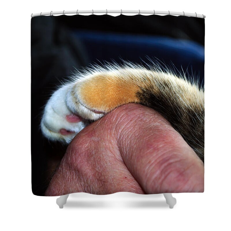 Loyalty Shower Curtain featuring the photograph Loyal Friendship by Tikvah's Hope