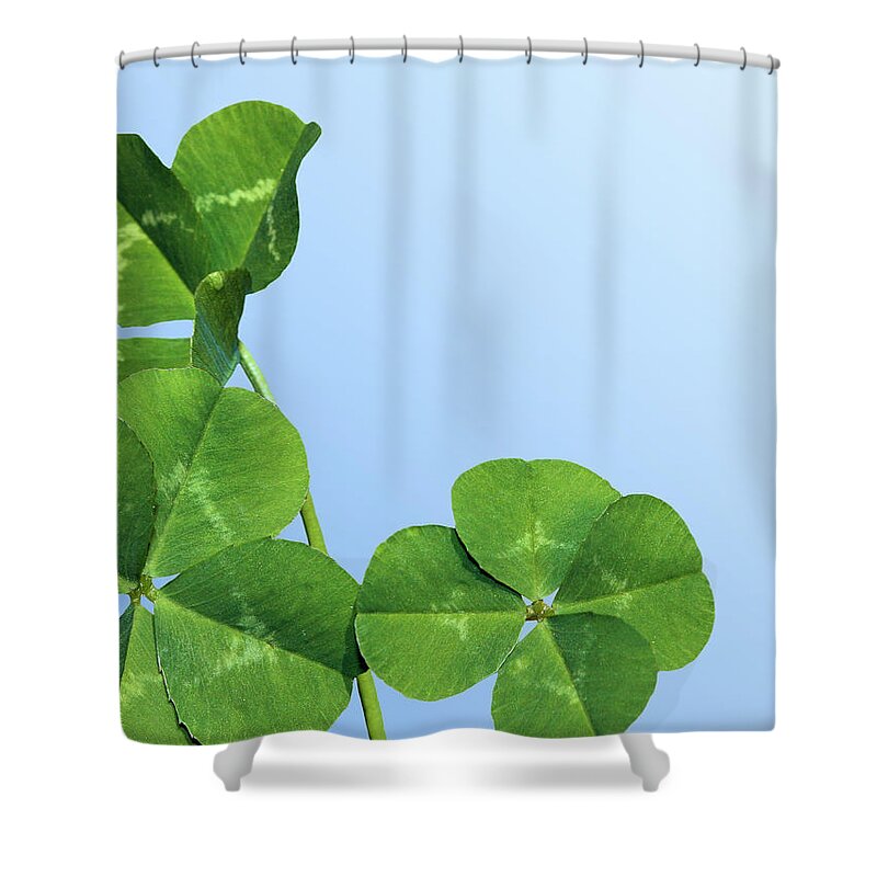Four Leaf Clover Shower Curtain featuring the photograph Lucky by Kristin Elmquist