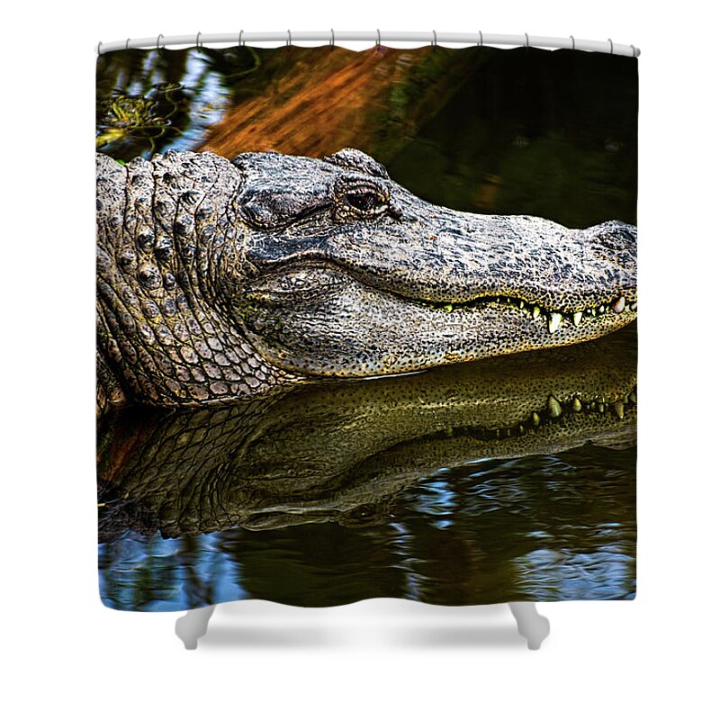Alligator Shower Curtain featuring the photograph Lump On A Log by Christopher Holmes