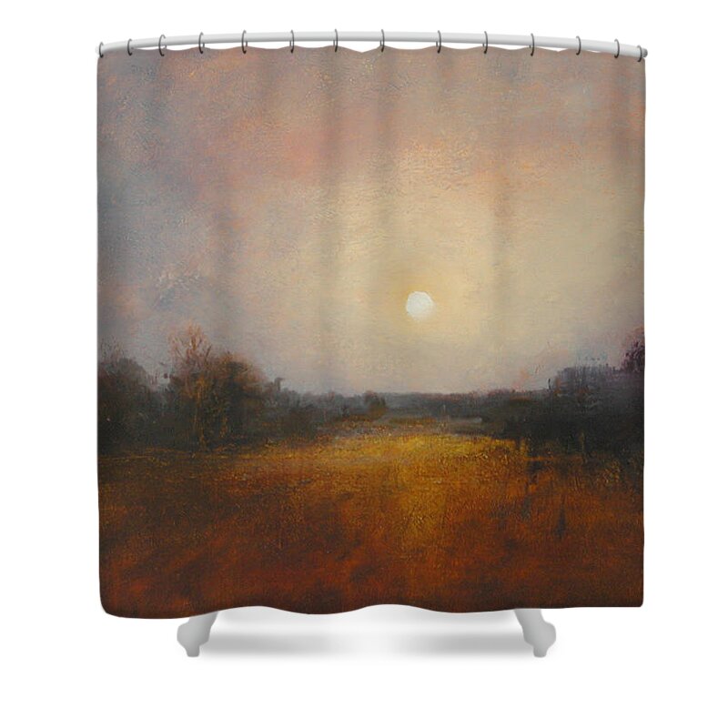 Moon Shower Curtain featuring the painting Lunar 11 by David Ladmore