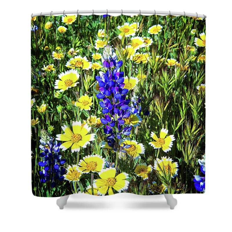 Lupine Shower Curtain featuring the photograph Lupine Amidst Tidy Tips by Lynn Bauer