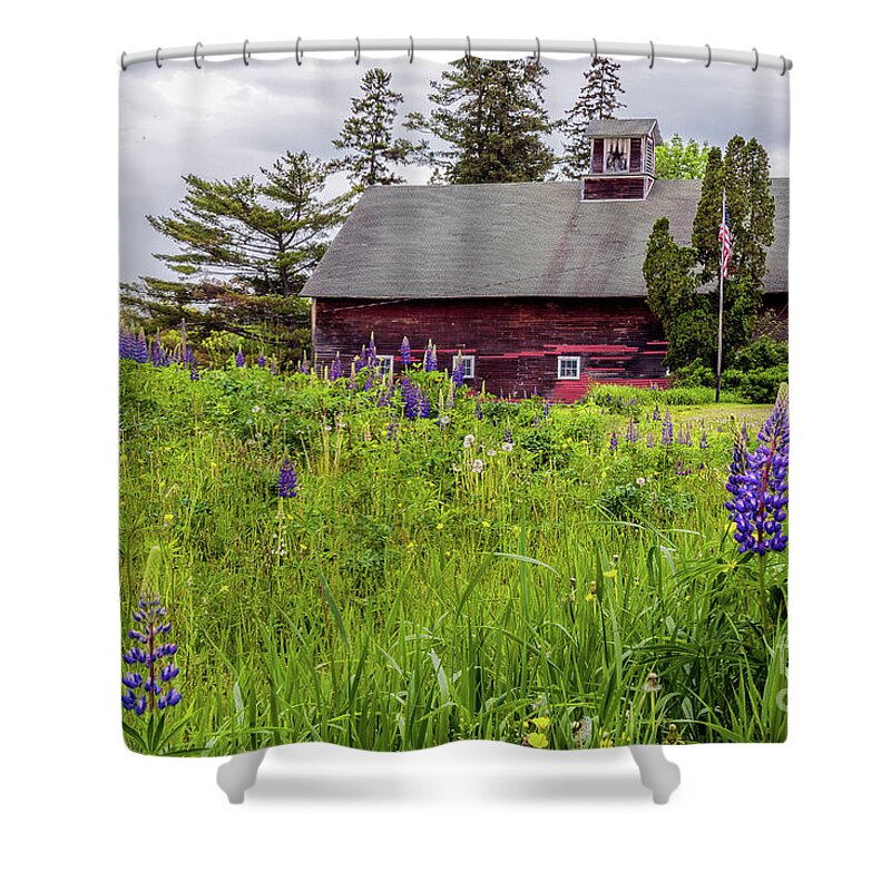 Lupine Shower Curtain featuring the photograph Lupine Country by Rod Best