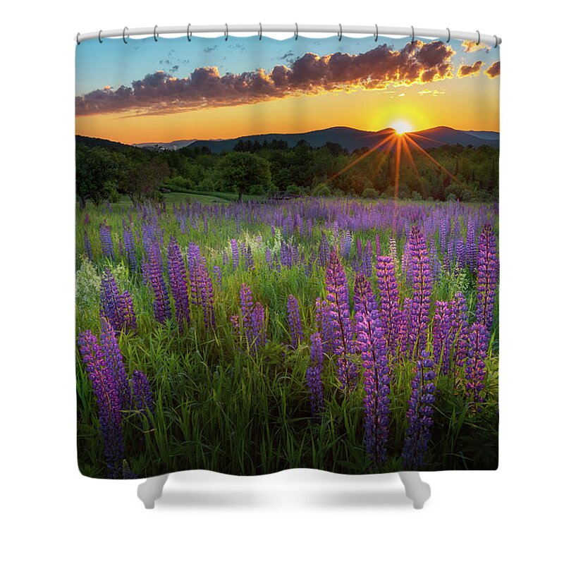 Sunrise Shower Curtain featuring the photograph Lupine Lumination by Bill Wakeley