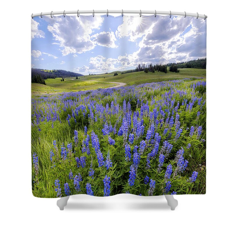 Lupine Pass Shower Curtain featuring the photograph Lupine Pass by Chad Dutson